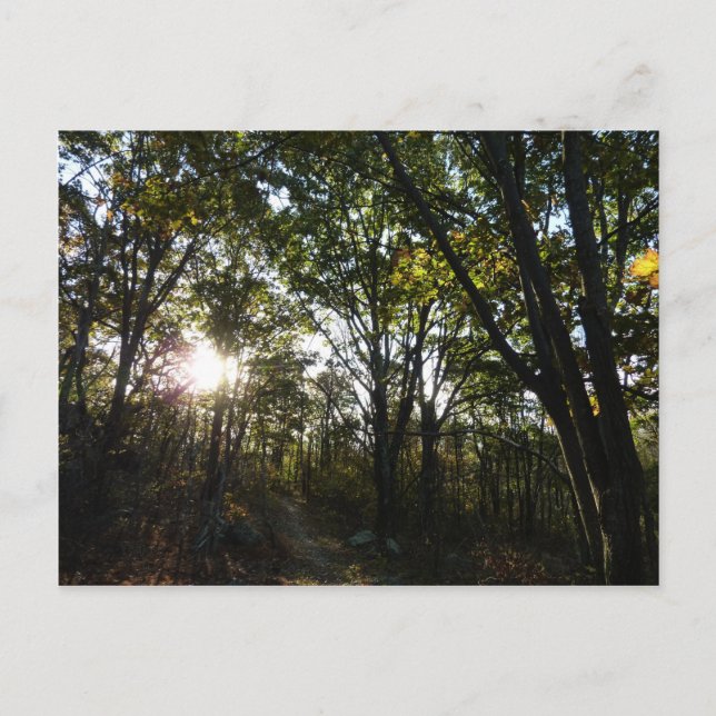 Cartão Postal Manhã do outono no Parque Nacional de Shenandoah (Frente)