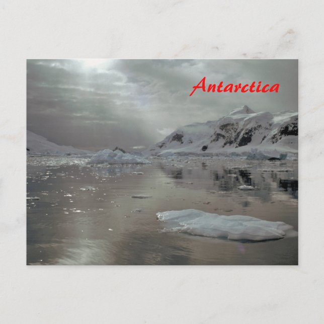 Cartão Postal Manhã na Antártica (Frente)