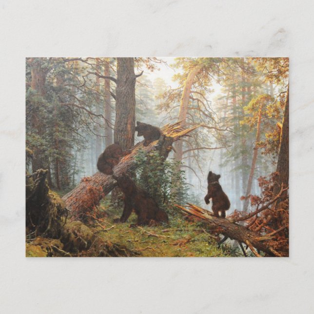 Cartão Postal Manhã na floresta de pinheiros (Frente)