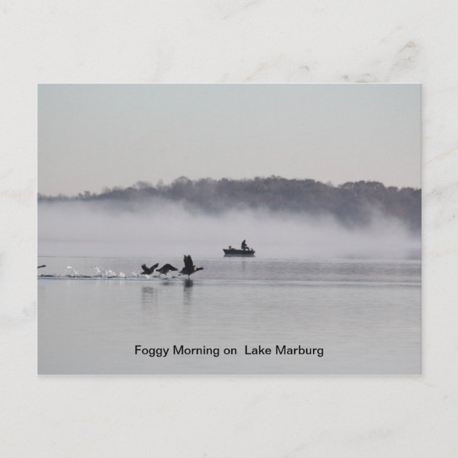 Cartão Postal manhã nebulosa no lago (Frente)