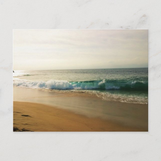 Cartão Postal Manhã no Wedge, CA (Frente)