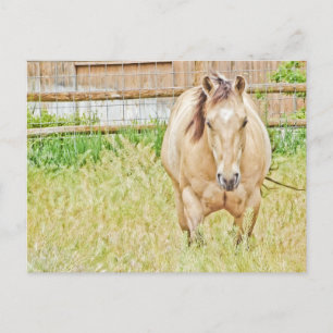 Cartão Postal Manhã Preguiçosa