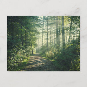 Cartão Postal Manhã Sunny de outubro em Hamburgo