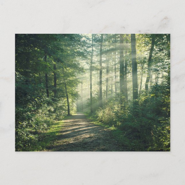 Cartão Postal Manhã Sunny de outubro em Hamburgo (Frente)