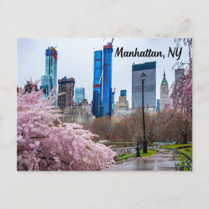 Cartão Postal Manhattan, NY Cherry Blossom em Primavera