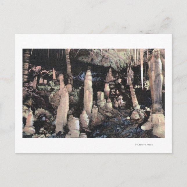 Cartão Postal Manitou Primavera, Colorado (Frente)