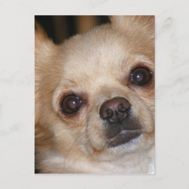 Cartão Postal Manteiga (Frente)