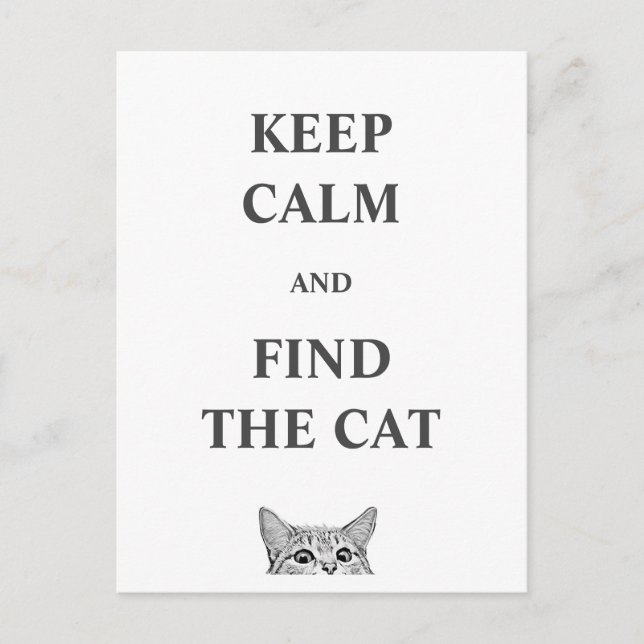 Cartão Postal Mantenha a calma e encontre o gato (Frente)