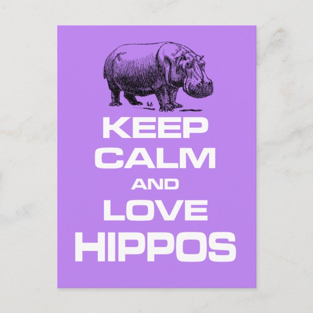 Cartão Postal Mantenha Calma e Amor Hippos Hippotamus Divorcioso (Frente)