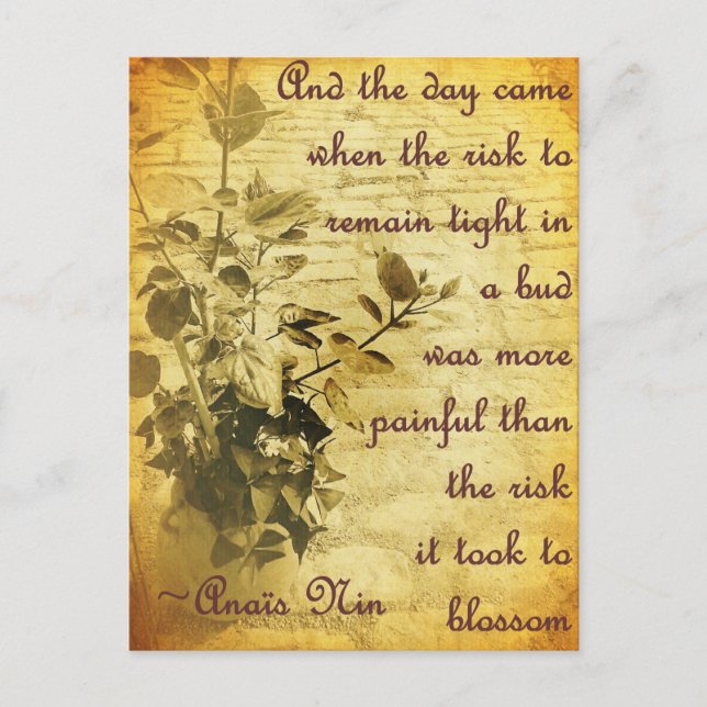 Cartão Postal Mantenha-se firme no botão (Frente)