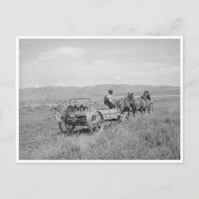 Cartão Postal Manure Spreader (Frente)