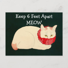 Cartão Postal Manutenção de Gato com 6 Pés de Distância