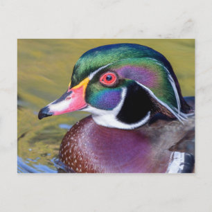 Cartão Postal Mão Colorida de Madeira Fechar