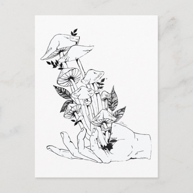 Cartão Postal Mão e Cogumelos (Frente)