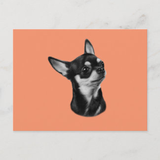 Cartão Postal Mão pintada chihuahua