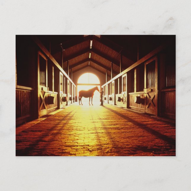 Cartão Postal Mãos Estáveis (Frente)