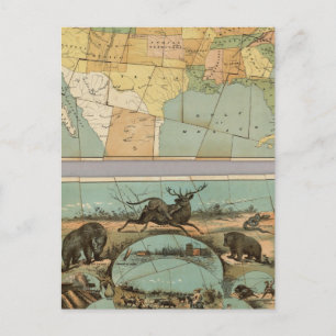 Cartão Postal Map of the United States of America 2