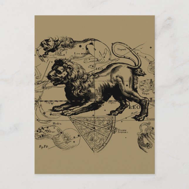 Cartão Postal Mapa Constelado de Leo Hevelius por volta de 1690 (Frente)