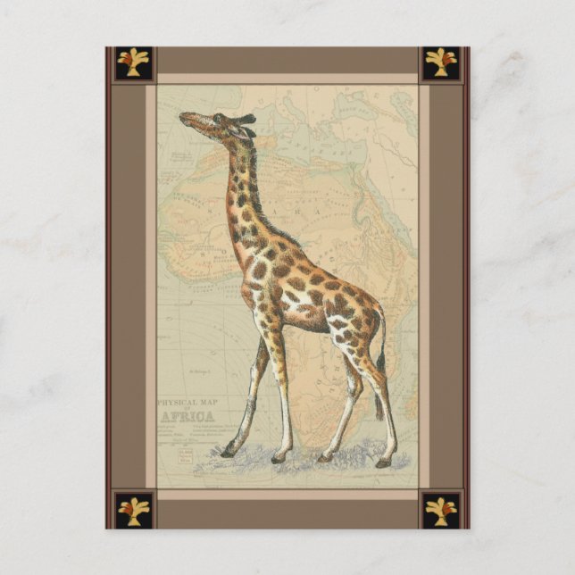 Cartão Postal Mapa da África e uma Girafa (Frente)