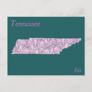 Cartão Postal Mapa da colagem da flor de estado de Tennessee