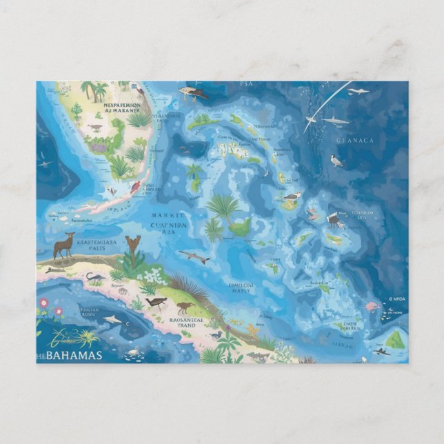 Cartão Postal Mapa das Bahamas (Frente)