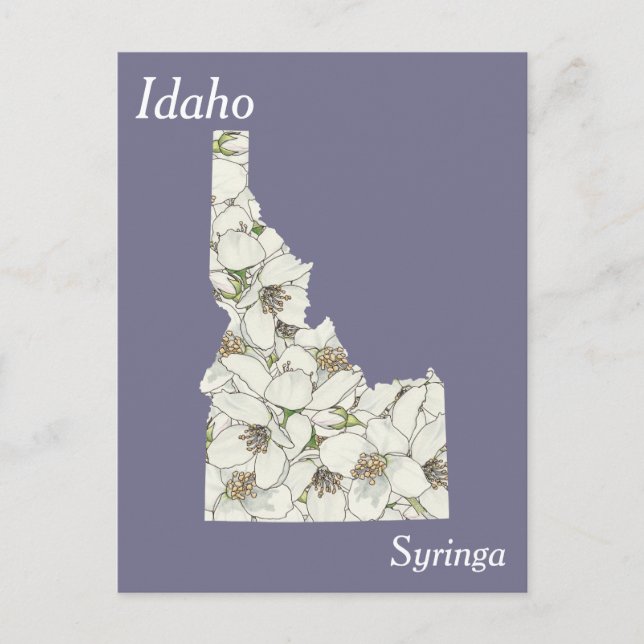 Cartão Postal Mapa de Colagem da Flor do Estado de Idaho (Frente)