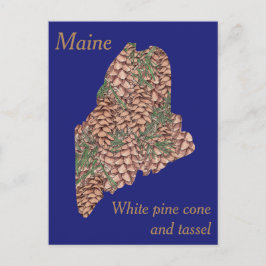 Cartão Postal Mapa de Colagem de Flores do Estado do Maine
