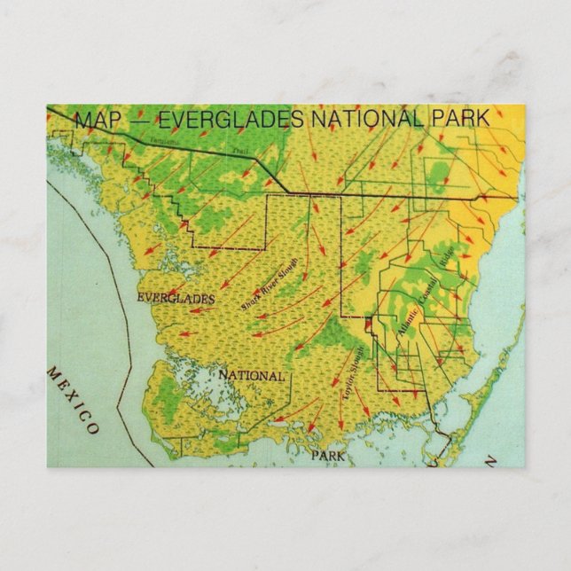 Cartão Postal Mapa do Parque Nacional Everglades em Postal (Frente)