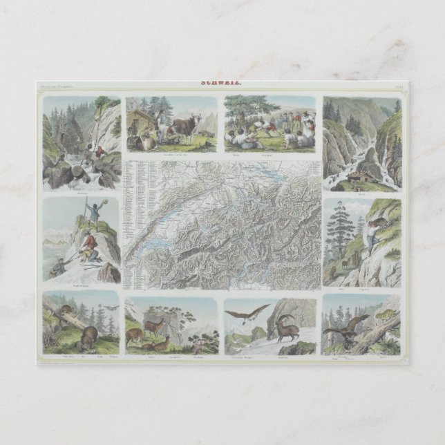 Cartão Postal Mapa e Vignetos dos Alpes suíços (Frente)
