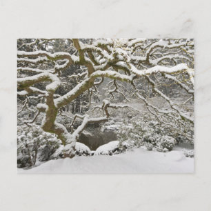 Cartão Postal Mapa japonês coberto de neve