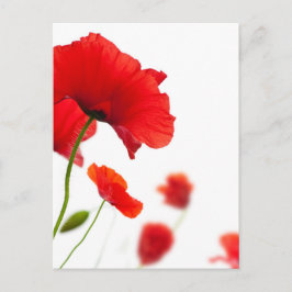 Cartão Postal Mapa postal - flores de papoilas