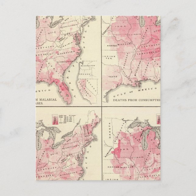 Cartão Postal mapas de vitalidade dos Estados Unidos (Frente)