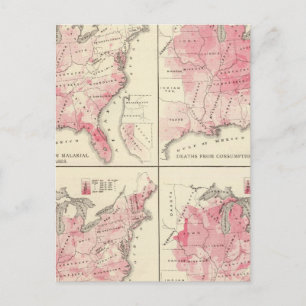 Cartão Postal mapas de vitalidade dos Estados Unidos
