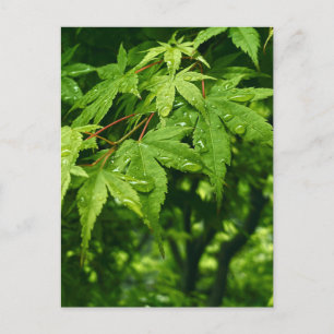 Cartão Postal Mapeamento em Primavera