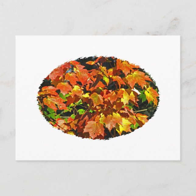 Cartão Postal Mapeamento Vermelho (Outono) (Frente)