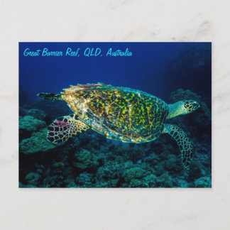Cartão Postal Mar coral do grande recife de coral da tartaruga