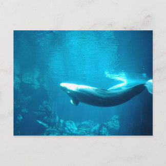 Cartão Postal Mar de Calm