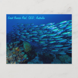 Cartão Postal Mar de Coral de Recifes de Peixes Tropicais