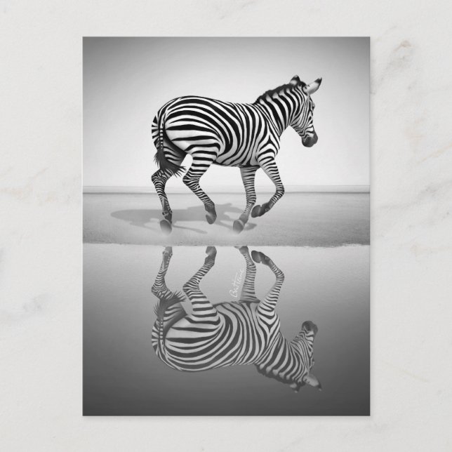 Cartão Postal Mar de Liberdade (Frente)