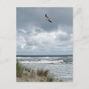 Cartão Postal Mar Esgotante