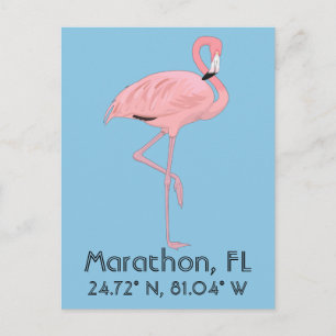 Cartão Postal Marathon FL Keys Flamingo Latitude Longitude