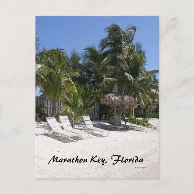 Cartão Postal Marathon Key, Florida (Frente)