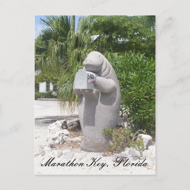 Cartão Postal Marathon Key, Flórida (Frente)