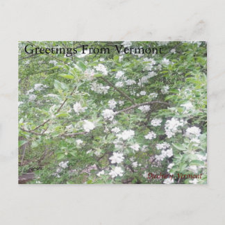 Cartão Postal Maravilhas da estrada