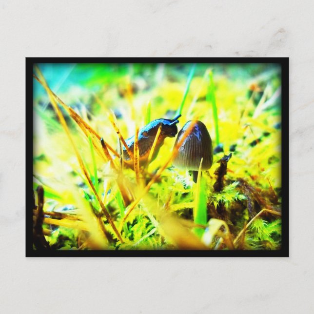 Cartão Postal Maravilhoso em conhecê-lo, Slug e Mushroom Foto (Frente)