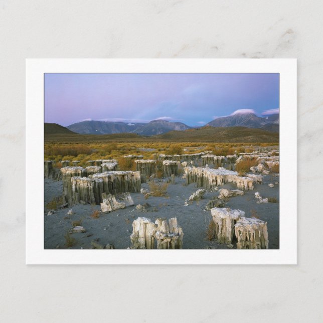 Cartão Postal "Marca d'água antiga" (Frente)