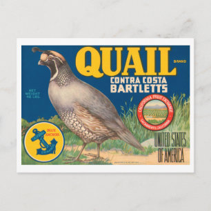 Cartão Postal Marca Quail Contra Costa Bartletts Crate L Vintage