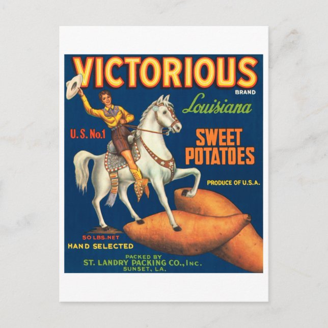 Cartão Postal Marca vitoriosa da Louisiana, batatas doces, vindi (Frente)