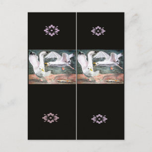 Cartão Postal Marcador de Combate às Agulhas