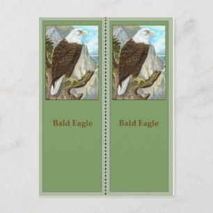 Cartão Postal Marcadores de Aniversário da Águia Balda